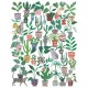 puzzle Cats and Plants