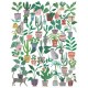 puzzle Chats et Plantes